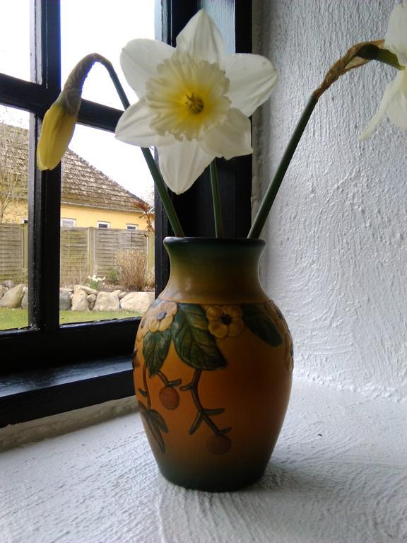 Dastrup Bed & Breakfast Viby Exterior photo