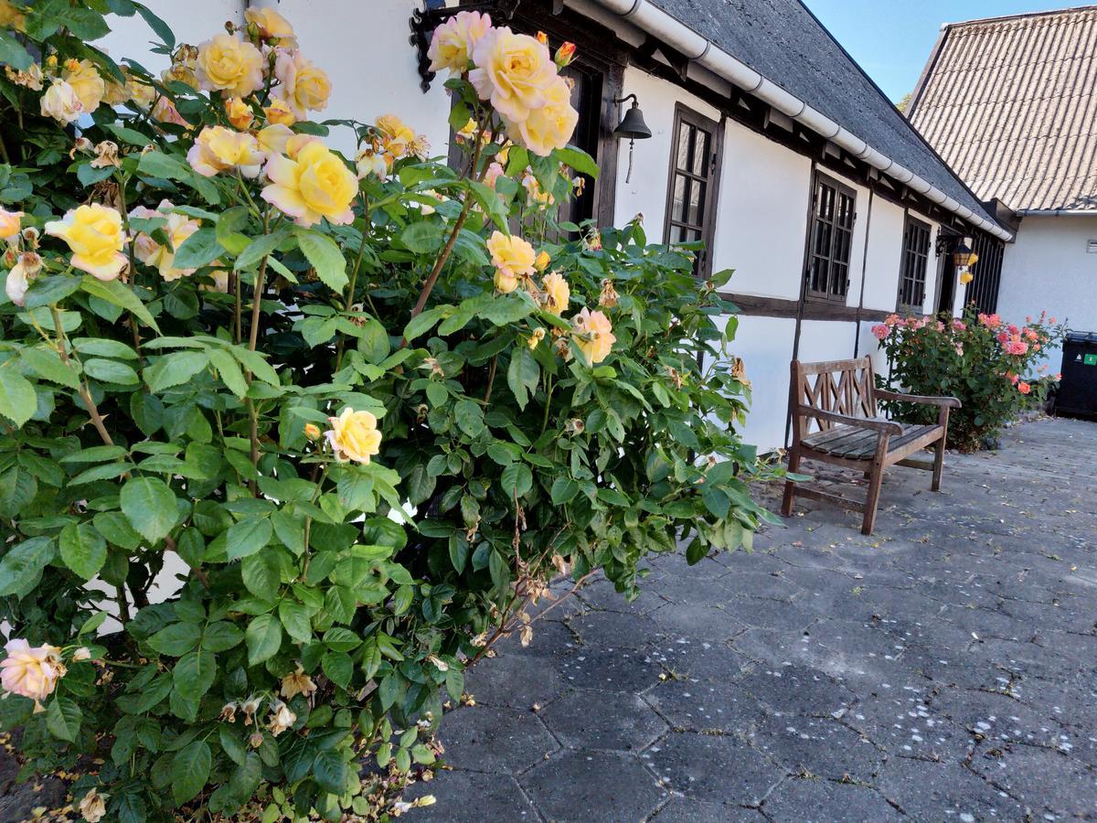 Dastrup Bed & Breakfast Viby Exterior photo